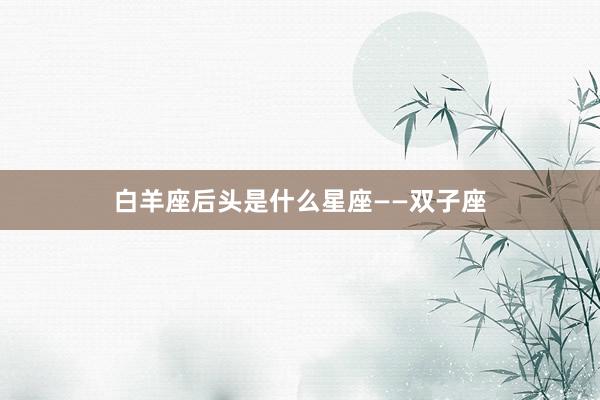 白羊座后头是什么星座——双子座