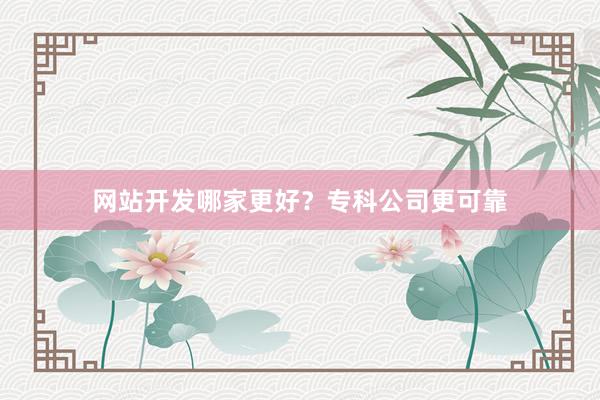 网站开发哪家更好？专科公司更可靠