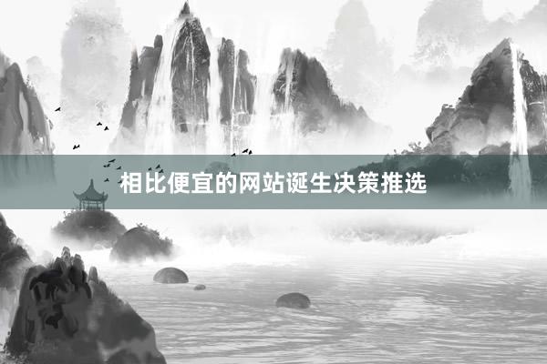 相比便宜的网站诞生决策推选