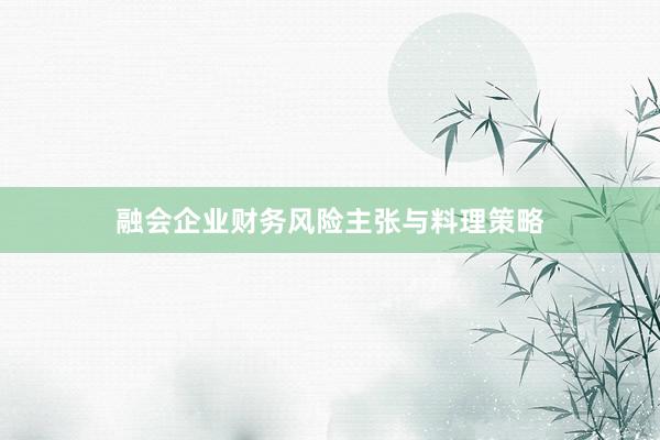 融会企业财务风险主张与料理策略