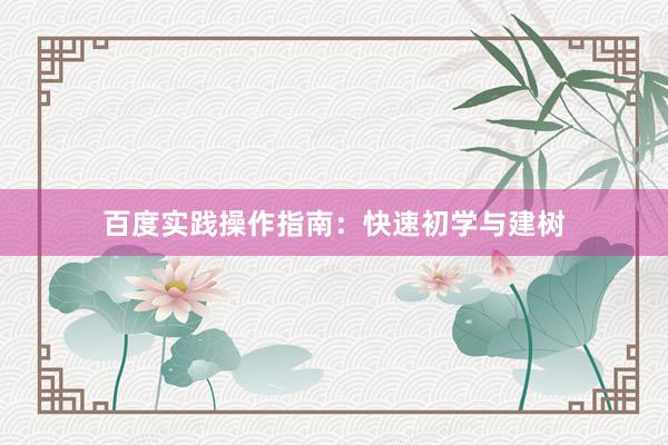 百度实践操作指南：快速初学与建树