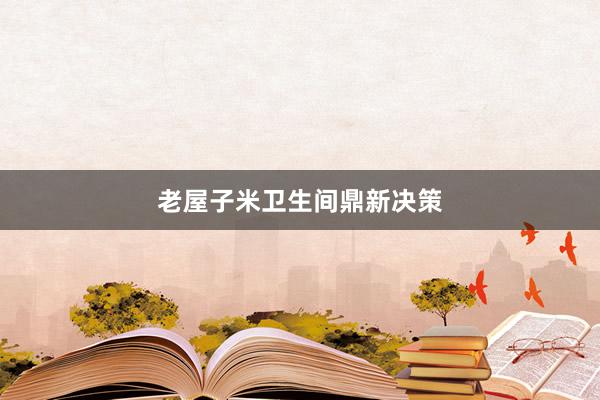老屋子米卫生间鼎新决策