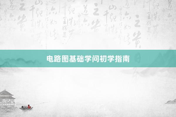 电路图基础学问初学指南