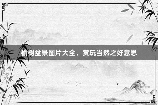 榆树盆景图片大全，赏玩当然之好意思
